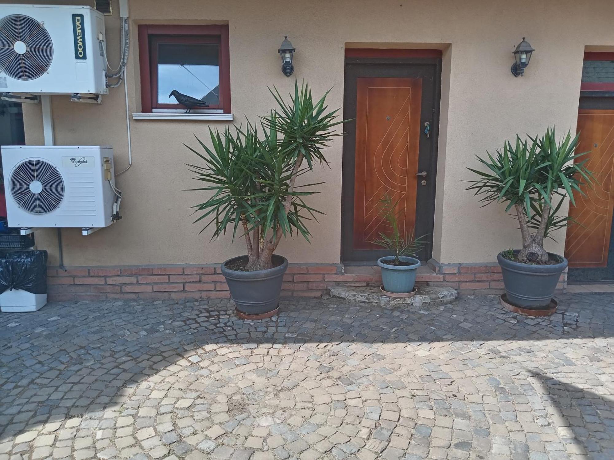Brique Jobb Mint Othon Apartman Hajduszoboszlo Bagian luar foto